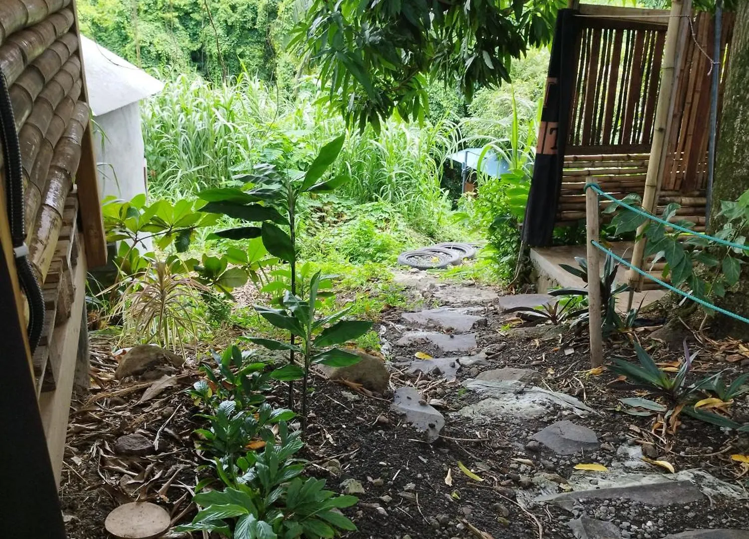 Tikazalou Eco Hostel Deshaies