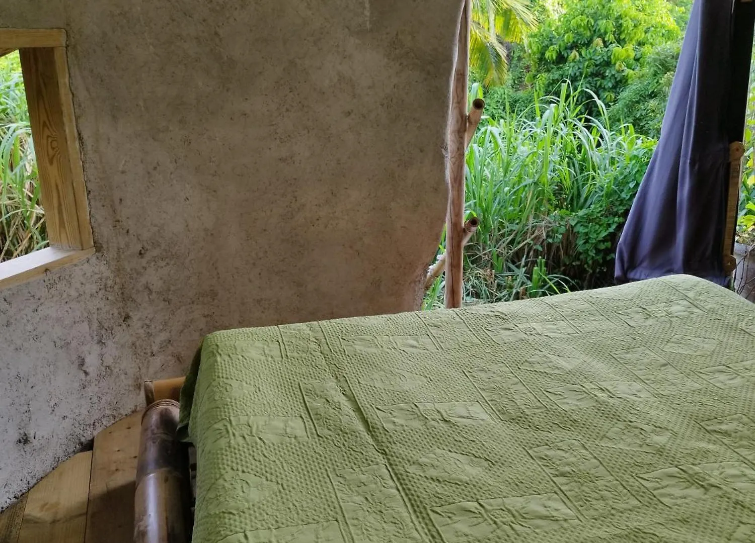 Tikazalou Eco Hostel Deshaies